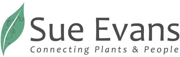 Logo for Sue Evans, educator, consultant and researcher in medicinal plants